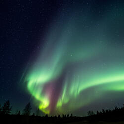 Sacred Wind of Tranquil Energy