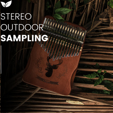 Echoes of the Wild Stereo Soundscapes from Nature