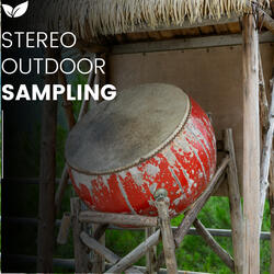 Stereo Environmental Ambience