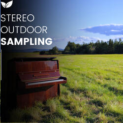 Stereo Field Sound Extraction