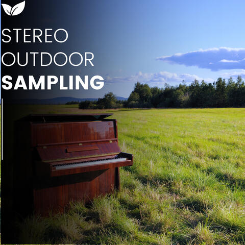 Wild Soundscapes Field Recordings