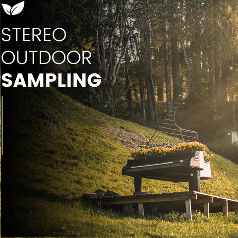 Open Air Audio Sampling