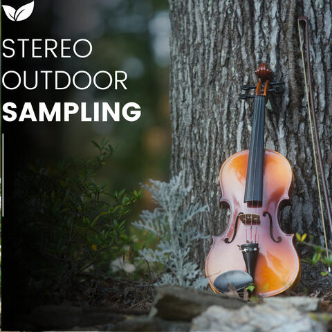 Pristine Wilderness Soundscapes