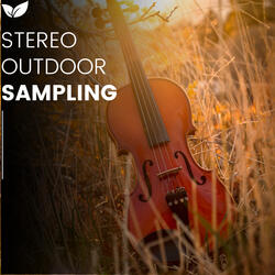 Real-World Sound Recording