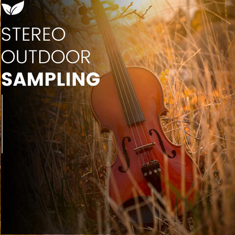 Ambient Nature Stereo Collection