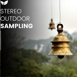 High Fidelity Soundscapes