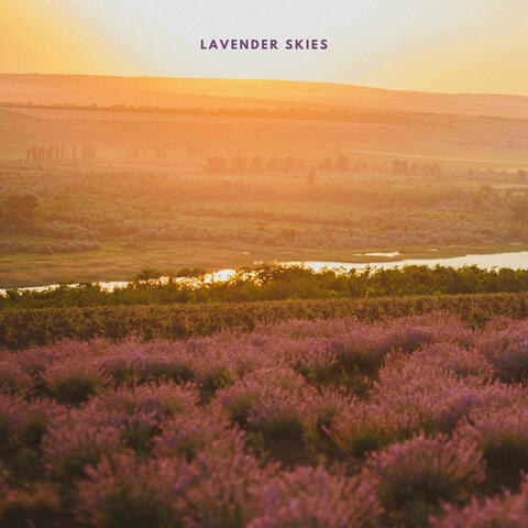 Lavender Skies