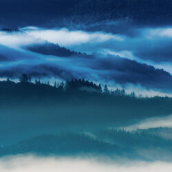 Deep Blue Study