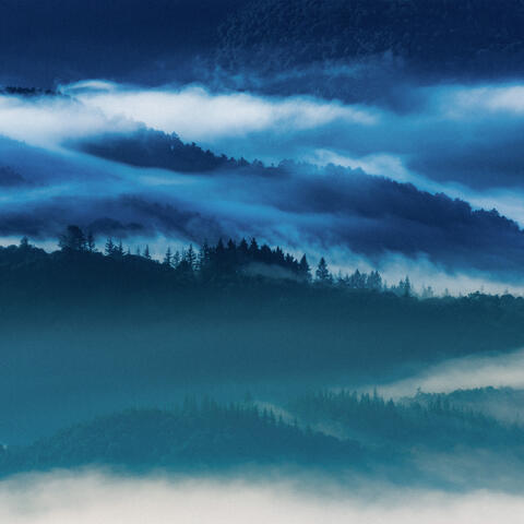 Deep Blue Study