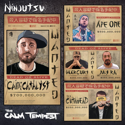 Ninjitsu