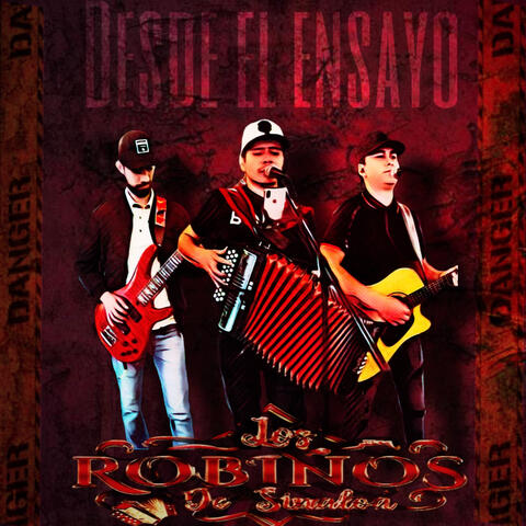Desde el Ensayo