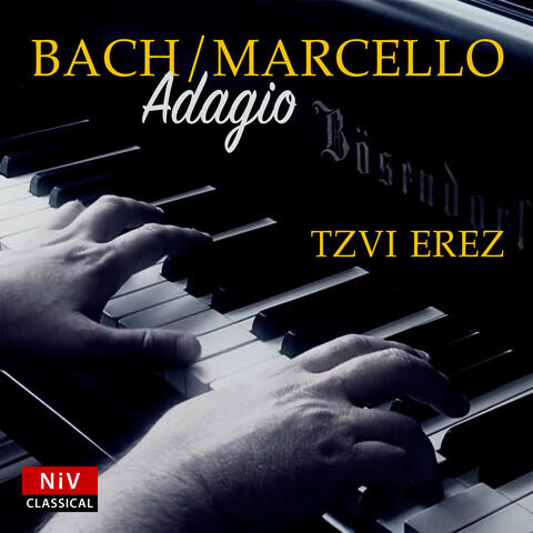 Concerto in D Minor (After Alessandro Marcello), BWV 974: II. Adagio