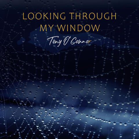Looking Through My Window