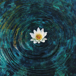 Guided Meditation for Personal Growth