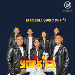 La Cobra / Juguito de Piña