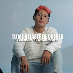 Tu me dejaste de querer