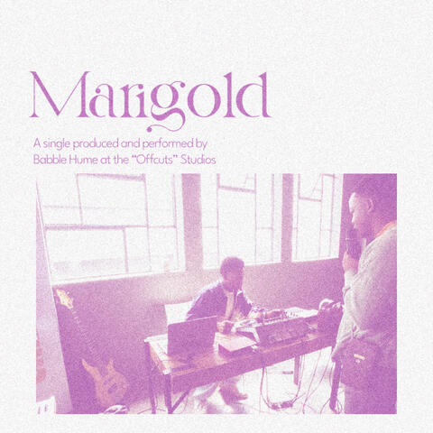 Marigold