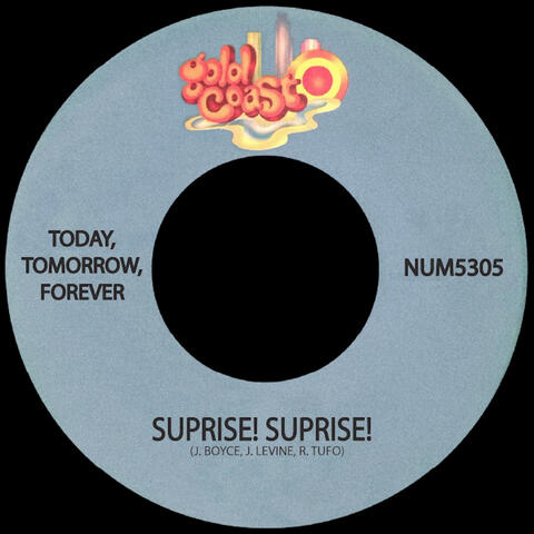 Surprise! Surprise!