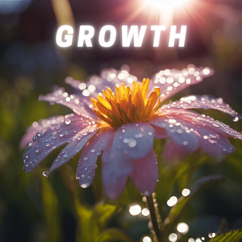 Growth