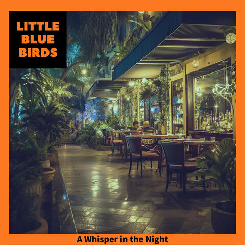 A Whisper in the Night