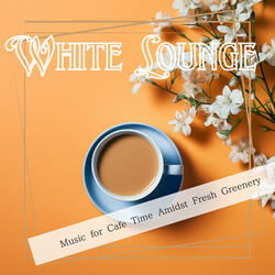 Daydreams Across Cobblestones