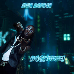 Bachudem - Pomini Flavor Radio Cut