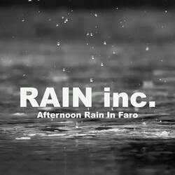 Afternoon Rain In Faro