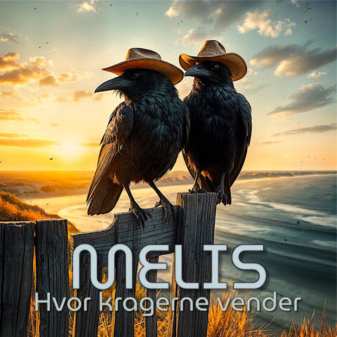 Hvor Kragerne Vender