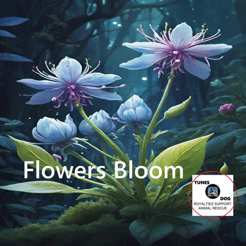 Flowers Bloom