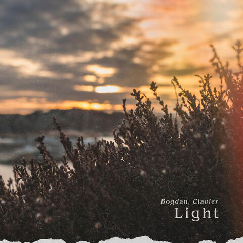 Light