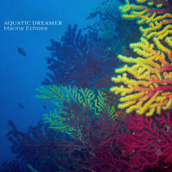 Marine Echoes