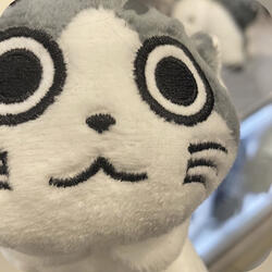 no t puedo soltar ⸜(｡˃ ᵕ ˂ )⸝♡