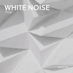 White Noise Prize