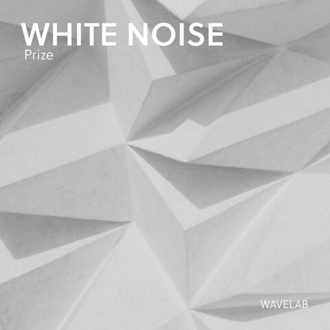 White Noise Prize
