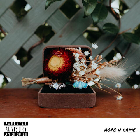 hope u came