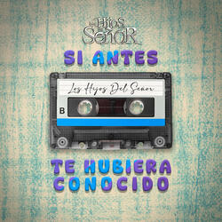 Si Antes Te Hubiera Conocido