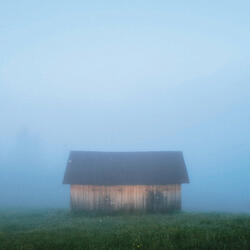 In My Dreams
