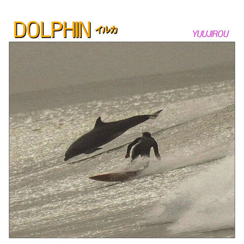 Dolphin