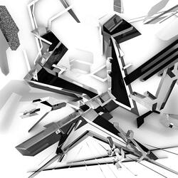 Fracture
