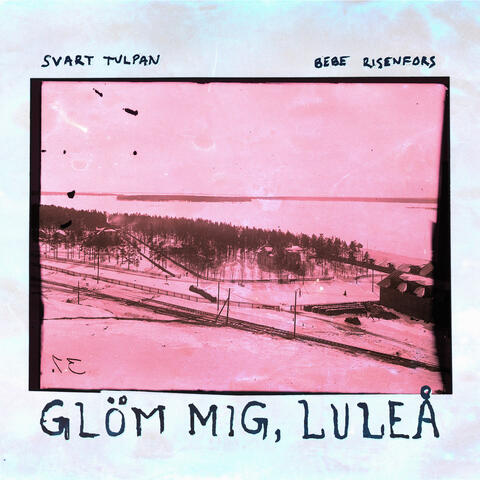 Glöm mig, Luleå