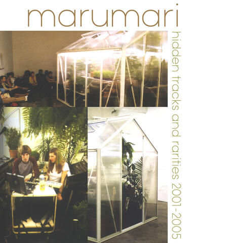 Hidden Tracks and Rarities 2001-2005