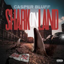 Shark on Land