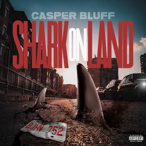 Shark on Land