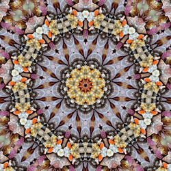 KALEIDOSCOPE