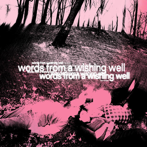 words from a wishing well