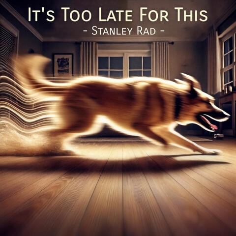 Too Late For This