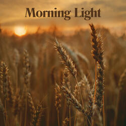 Morning Light