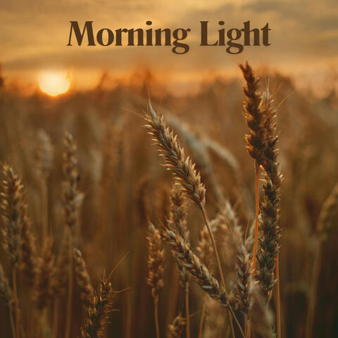 Morning Light