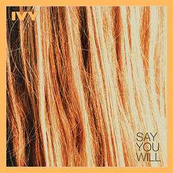 Say You Will