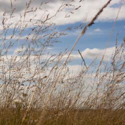 Before the World Wakes Up